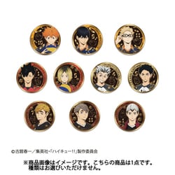 ヨドバシ.com - テンヨー Tenyo TKB-A03 金バッジ ハイキュー