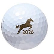 TOUR B JGR（2025年モデル） 2026年干支ボール J5GXET [ゴルフボール 1ダース 12球入]