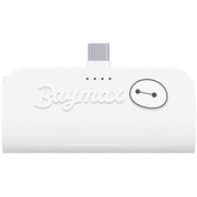 USB Type-C 直挿しモバイルバッテリー 5,000mAh/PD20W ベイマックス PG-DLB50C05BAY
