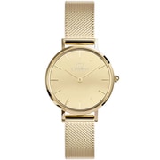 Petite Reflection Gold 正規品 2年保証 DW00100797
