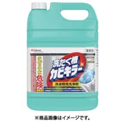 洗たく槽カビキラー5kg（計量カップ付） 349693