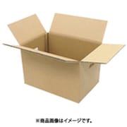 JTX 330461）WF穴付ダンボール箱 大10枚 B242J-L