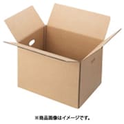 JTX 330463）WF穴付ダンボ-ル箱 特大10枚 B244J-3L