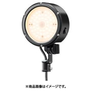 小型LED投光器 (33W/広角/電球色/黒) E30015W/LSAN9/BK