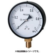 圧力計 AVT3/8×100×1MPa G411-211-V-1MPA