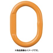 チェンスリング カナグ部材(アイタイプ) マスターリンクHMM 基本使用荷重8.0t HMM1613