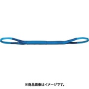ベルトスリング NBスリング(両端アイ形) 最大使用荷重800kg 幅25mm 長さ5m NB3E25-50