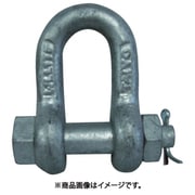 TAIYOシャックルM ドブ SB-16（3005568） TSB-16G
