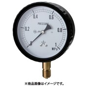 密閉形圧力計 W411-241-1MPA