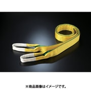 Zタイプ4E 25幅×6.0m ZE0250600