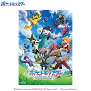 500-753 ポケットモンスター メガ新しい冒険へ！（1） [ジグソーパズル 500ピース]