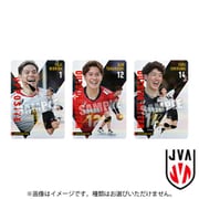 JAPAN NATIONAL VOLLEYBALL TEAM ツインウエハース 2025 1BOX（20個入） [コレクション食玩]