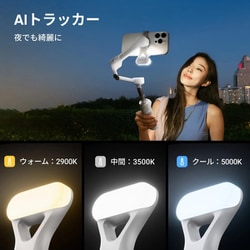 ヨドバシ.com - Insta360 インスタサンロクマル Insta360 Flow 2