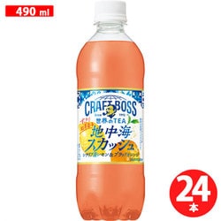 クラフトボス 世界のTEA 地中海スカッシュ 490ml×24本