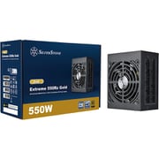 Extreme 550Rz Gold SFX 電源ユニット 80 PLUS Gold認証 550W SST-EX550R-GM