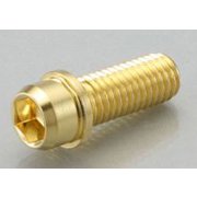 VVDボルト(24K)10X25/150/1PC 0901-100-00102
