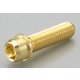 VVDボルト（24K）10X35/150/1PC 0901-100-00104