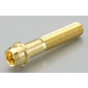 VVDボルト(24K)10X50/150/1PC 0901-100-00107