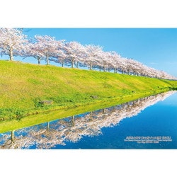 300-447 日本の都市91 兵庫県小野市「おの桜づつみ回廊 逆さ桜」 [ジグソーパズル 300ピース]