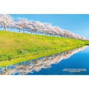 300-447 日本の都市91 兵庫県小野市「おの桜づつみ回廊 逆さ桜」 [ジグソーパズル 300ピース]