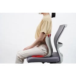 【美品】カーブルチェア グランド　ブラック ヨドバシ.com - ダイバーシティ カーブルチェア グランド