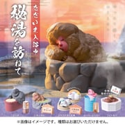 ただいま入浴中 ～秘湯を訪ねて～（1個） [コレクショントイ]