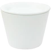 ガーデンズオムニタッセ（カップ） ホワイト