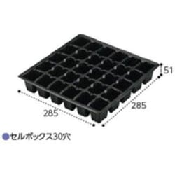 セルボックス 30穴 10枚組