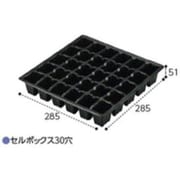 セルボックス 30穴 10枚組