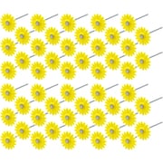 花ちゃん ひまわり 50Pセット