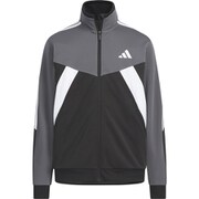 エッセンシャルズカラーブロックWUジャケット キッズ ジャケット Grey Five/Black（JZ8697） J150サイズ KCE61