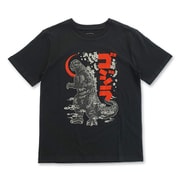 22863243 ゴジラ ポスタープリント Tシャツ D柄(桜) 3Lサイズ