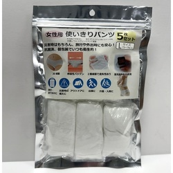 防災用 使い切りパンツ5個セット 女性用：Lサイズ （ ウェストサイズ：73～78cm ） ホワイト HH-1903