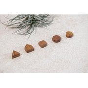 Magnet shape 5個入り マグネット ブラウン GB-04