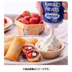 ヨドバシ.com - SKWイーストアジア 02233200 メグレ スプレー