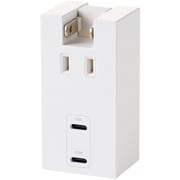 電源タップ 直挿タイプ AC×1/USB-C×2 PD20W 雷ガード ほこり防止シャッター 絶縁キャップ PSE適合 ホワイト T-U06-1C2WH