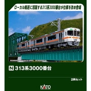 10-1928 Nゲージ完成品 313系3000番台 2両セット [鉄道模型]
