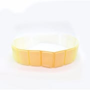 SUO 256 ICE fordogs SUO BAND gradation サフランイエロー XL