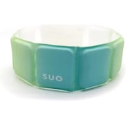 SUO 256 ICE fordogs SUO BAND gradation ピスタチオグリーン M