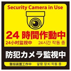 防犯カメラ監視中ステッカー 2枚入 NB-BS03