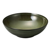 ボウル コスタヴェルデ サトゥルノ 浅ボール 17.5cm グリーン CV1703GR