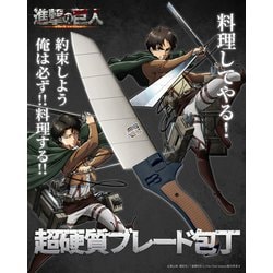 GARRACK 進撃の巨人 ギャラック 「進撃の巨人」×NINJA NIN001-SK