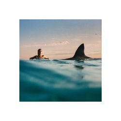 Dua Lipa／Radical Optimism <Clear Blue Vinyl>（EU/LP） [アナログディスク]