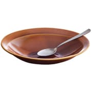 カレー皿 スプーンセット 25cm 逸品窯 陶磁器 ブラウン 11301
