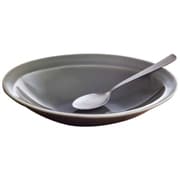 カレー皿 スプーンセット 25cm 逸品窯 陶磁器 グレー 11302