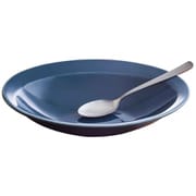 カレー皿 スプーンセット 25cm 逸品窯 陶磁器 ブルーグリーン 11304