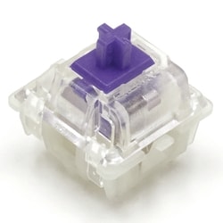 CHERRY MX2A RGB 紫軸 キースイッチ 10個セット FKSW10CH/MPU-RB