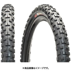 カエサル コンプ 20x2.125 BLK TIR21901