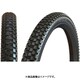 ホーリーローラー 20x1.95 TIR30103