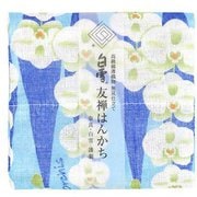 友禅はんかち 胡蝶蘭 ブルー